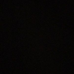 Meet your Posher, Lynne